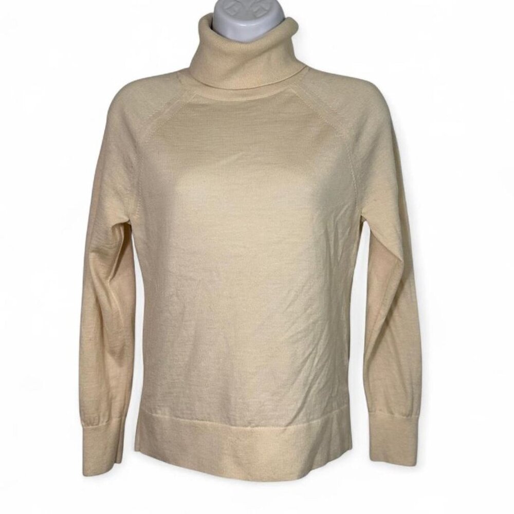 Banana Republic Merino Wool Turtleneck in Ivory